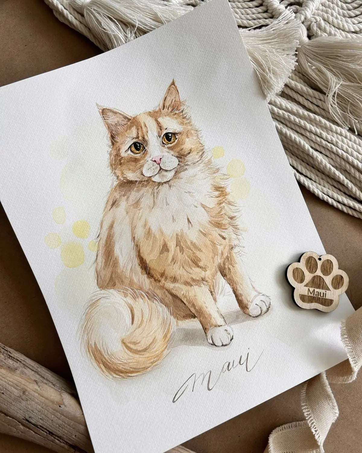 Cat Portraits