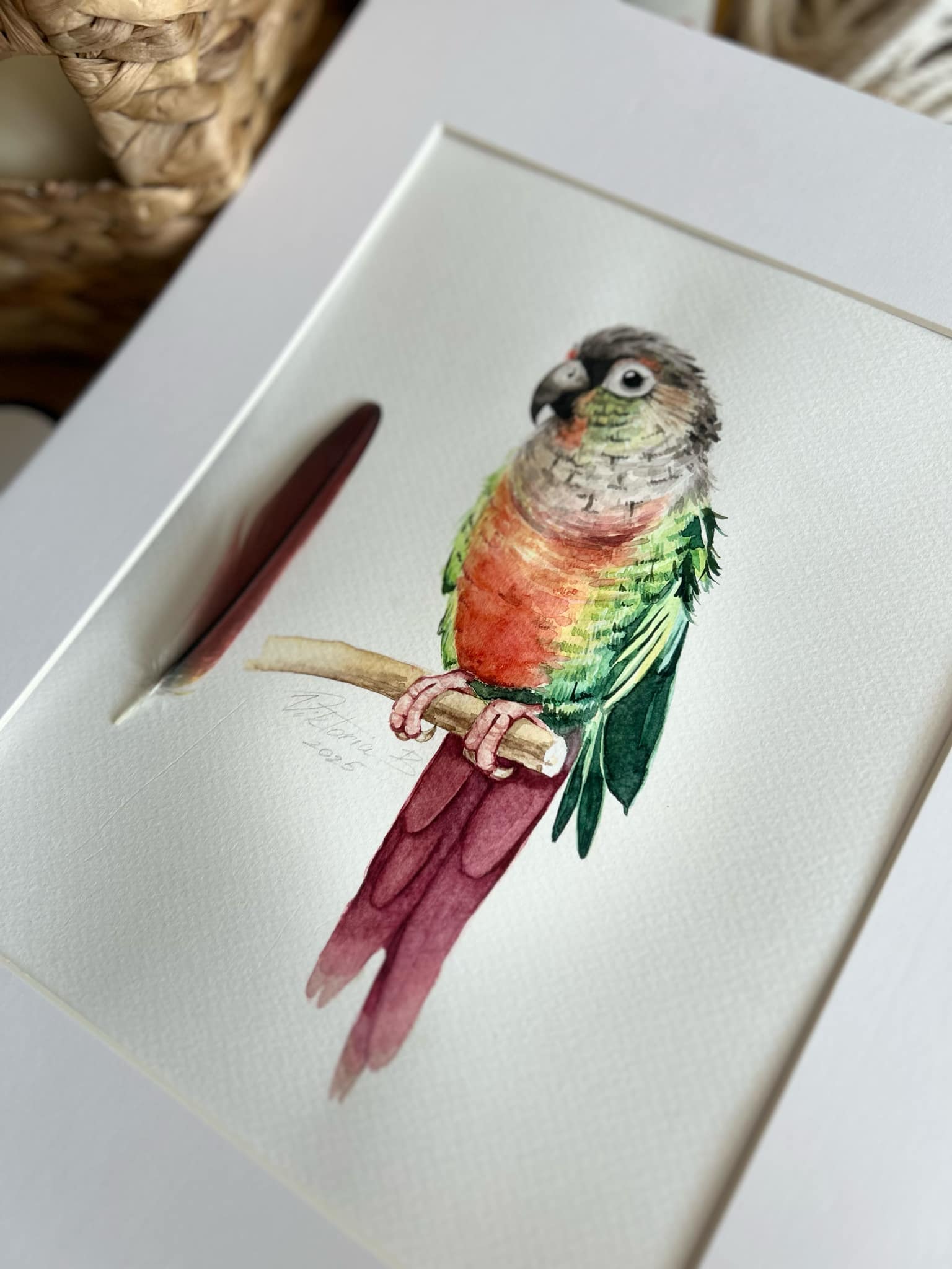Green Cheek Conure Custom Watercolor Portrait